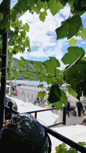 Ausfahrt an die Mosel