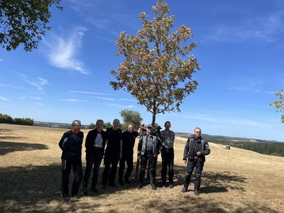 GG Moseltour 26