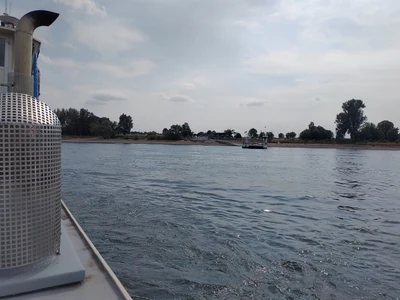 Straußentour ins Bergische