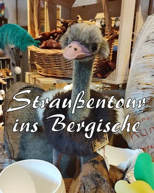 Straußentour ins Bergische